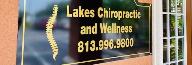 Land O' Lakes Medical Injury Center: Lakes Chiropractic & Wellness
