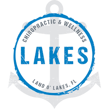 Land O' Lakes Medical Injury Center: Lakes Chiropractic & Wellness Center